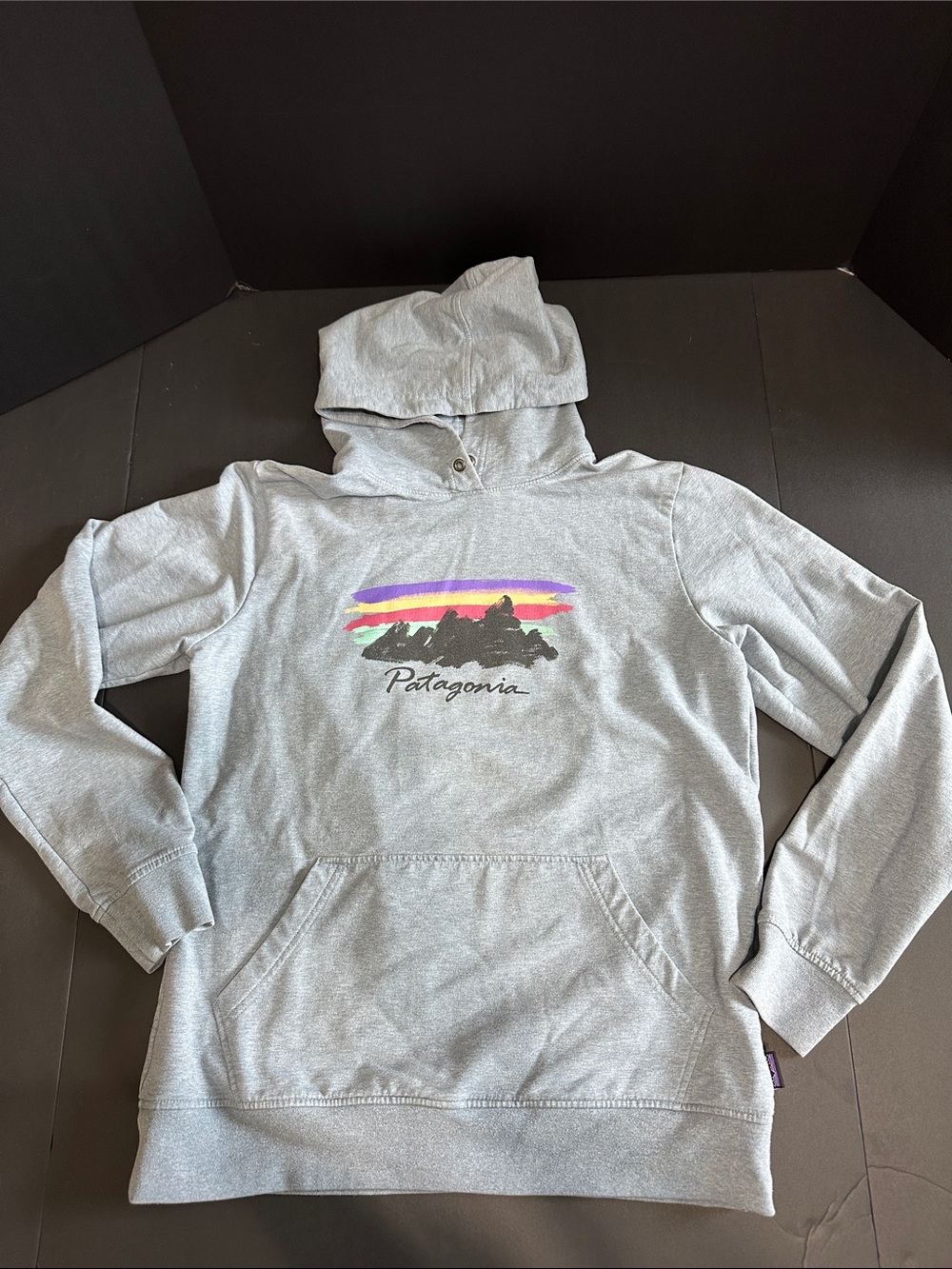Patagonia Gray Hoodie with Multicolor Sunset Logo